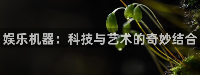 蓝图娱乐平台主管