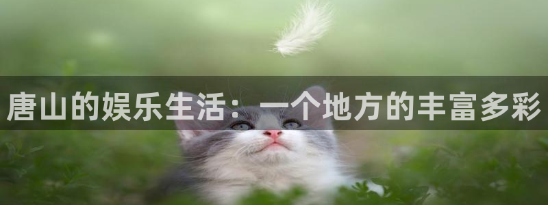 蓝图娱乐官网入口