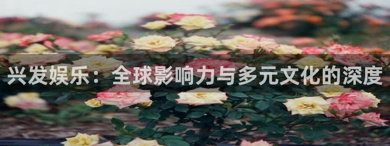 蓝图娱乐
