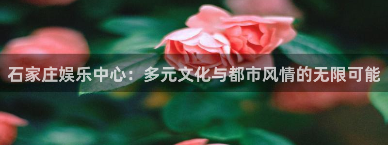 蓝图娱乐平台
