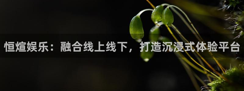 蓝图娱乐